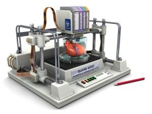 Stampante 3D per creare organi umani