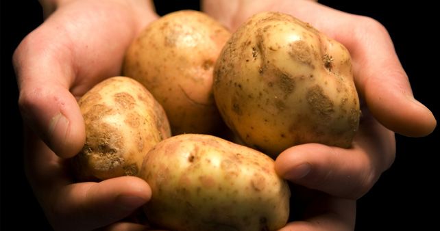 Le patate: proprietà nutrizionali e benessere per l'organismo
