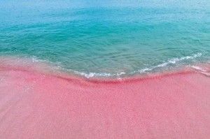 spiaggia rosa