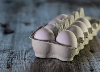 Uova ritiro causa salmonella