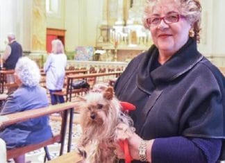 Cherie: la storia della cagnolina che ha salvato la vita all'anziana padrona