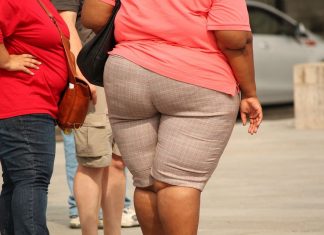 Obesità ormone brucia grassi