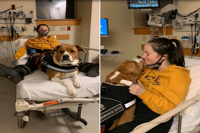 Ragazza affetta da malattia rara salvata dal suo cane