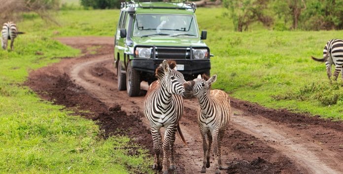 Safari fotografico in Tanzania