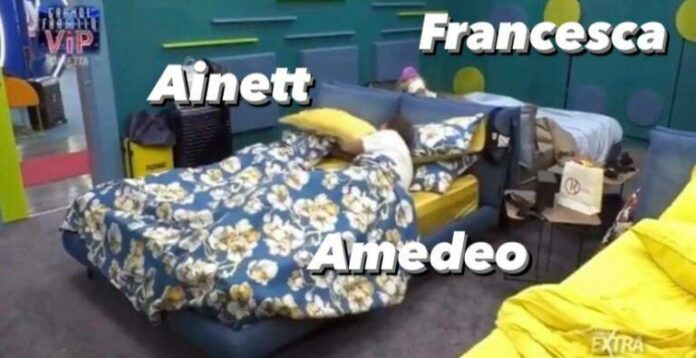 Amedeo e Ainett